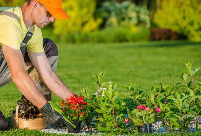 Garden Design And Landscape Finding A, How To Find A Good Local Gardener