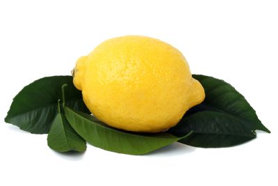 Single Yellow Lemon On Green Leaves