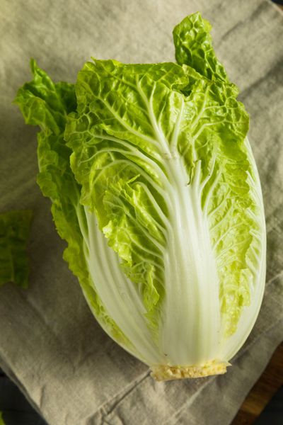 Orient Express Napa Cabbage