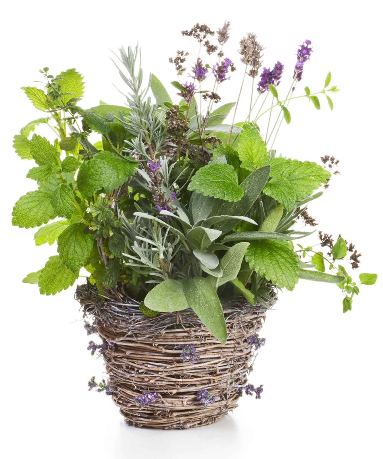 How to use basket as indoor planter