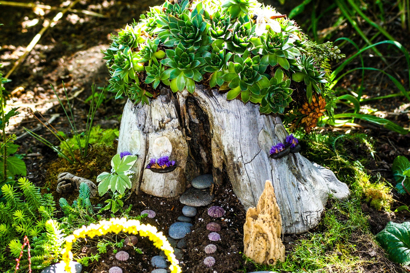 Designing Mini Succulent Gardens How To Make A Fairy Garden With ...