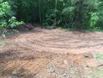 Cleared Forest Land With Open Dirt Space