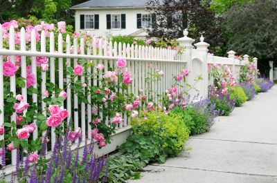 Flowers And Plants Peeking Through White Fence