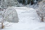 Greenhouse Covered With Snow