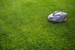 Robot Lawn Mower Cutting Green Grass