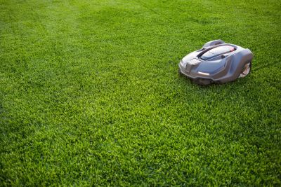 Robot Lawn Mower Cutting Green Grass