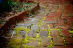 Brick Edging Frost On Garden Path
