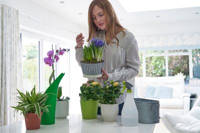 Woman With Her Houseplants And Spray Bottle