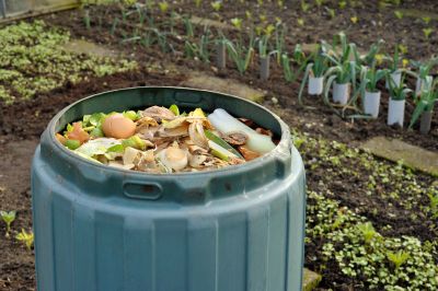 Best Composting Bins