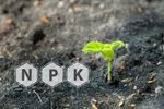 N P K Letters Alongside Green Seeding