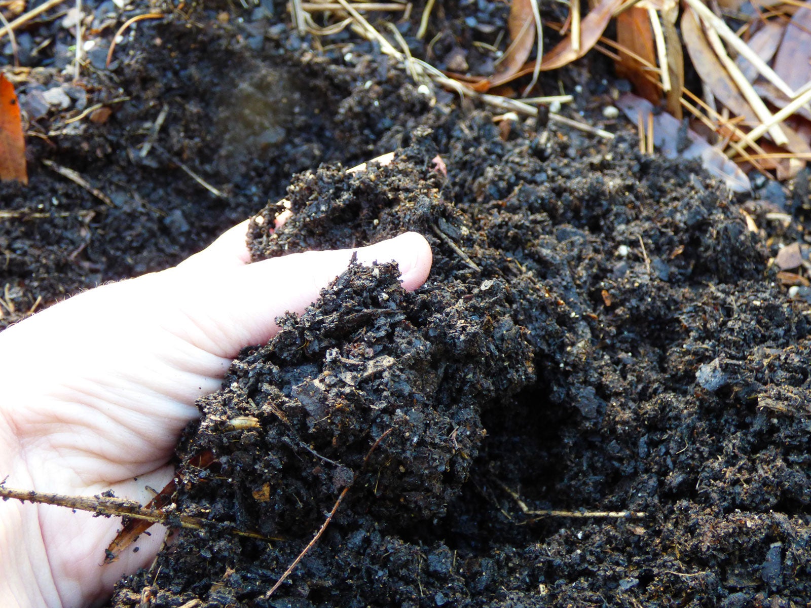 Image of Finished compost pile
