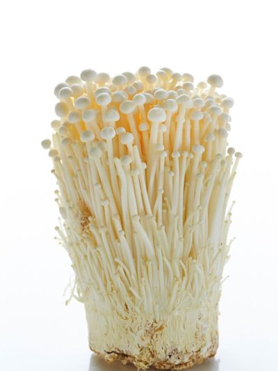 Cluster Of White Enoki Mushrooms