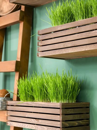 Putting Plants In A Wooden Crate, Wooden Box Planters Small