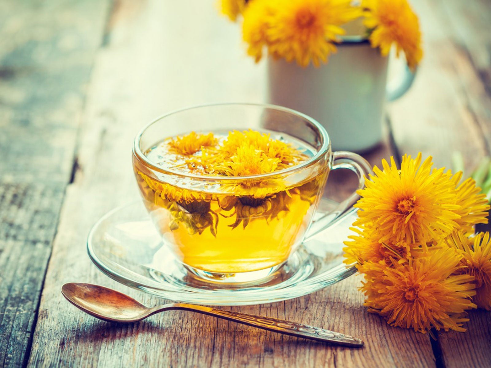 Homemade Dandelion Tea – How To Make Dandelion Tea