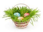 Easter Basket With Three Eggs And Real Green Grass