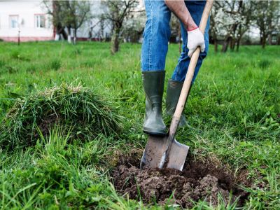 Gardener Shoveling Soil