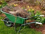 Wheelbarrow Full Of Branch Trimmings In The Garden