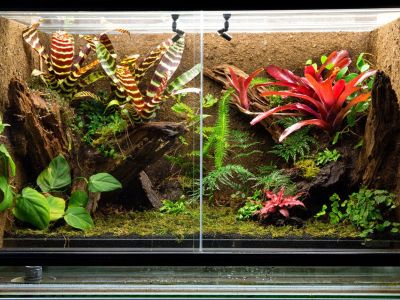 B Blesiya Plastic Aquarium Fish Tank Green Leaves Plant Reptile and Amphibians Terrarium Vivarium Decoration Home Office Bonsai Ornament