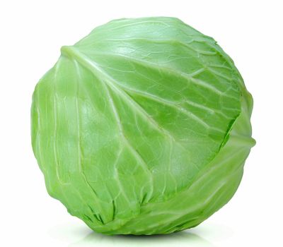 Green Primo Vantage Cabbage
