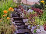 Sloped Rain Garden Stone Pathway Surrounded By Plants And Flowers