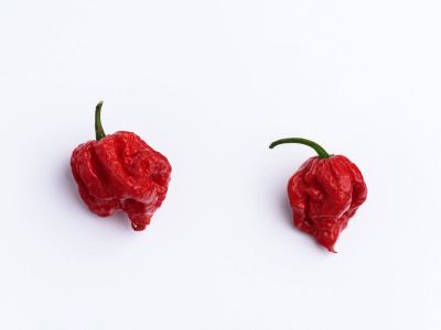 Two Red Caroline Reaper Peppers