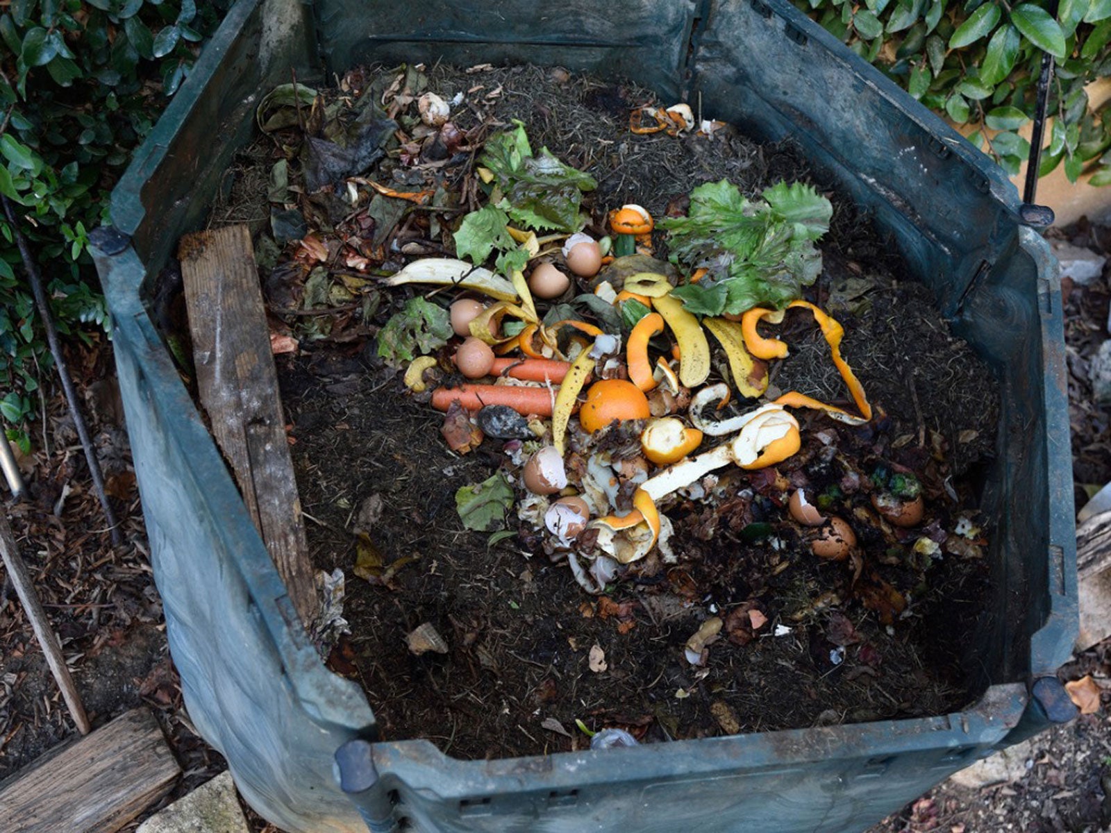 Oprava príliš veľkého rastlinného kompostu v kvetinovej záhrade