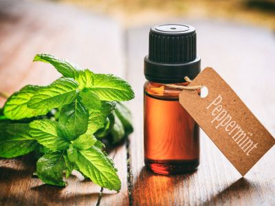 Mint Plant Next To A Small Bottle Of Peppermint Liquid