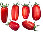 Red San Marzano Tomatoes