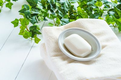 Plant Vines Next To A Bar Of Soap In A Dish On A Towel