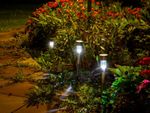 Solar Lights Between A Stone Path And Flowers