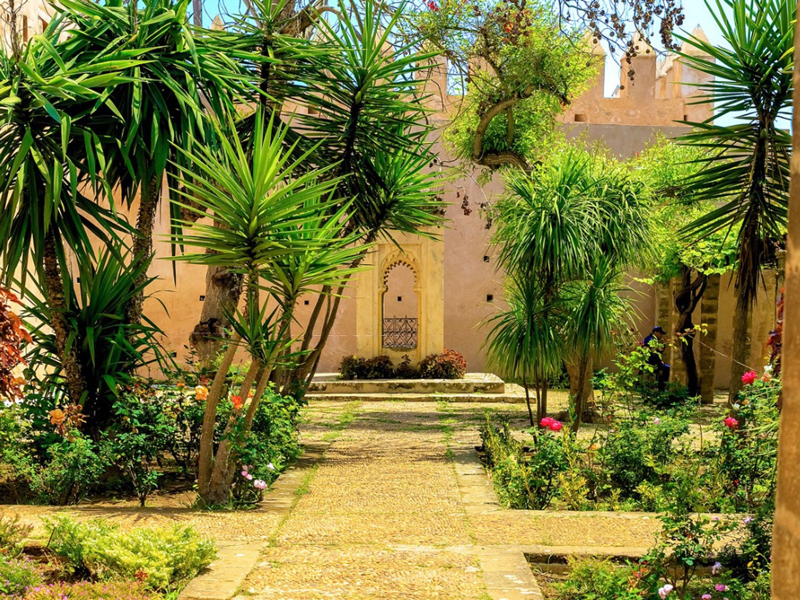 نباتات الحديقة على الطراز المغربي