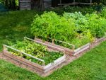 Raised Garden Beds On A Sloped Grassy Area