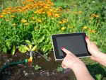 Tablet In The Garden For Smart Watering System