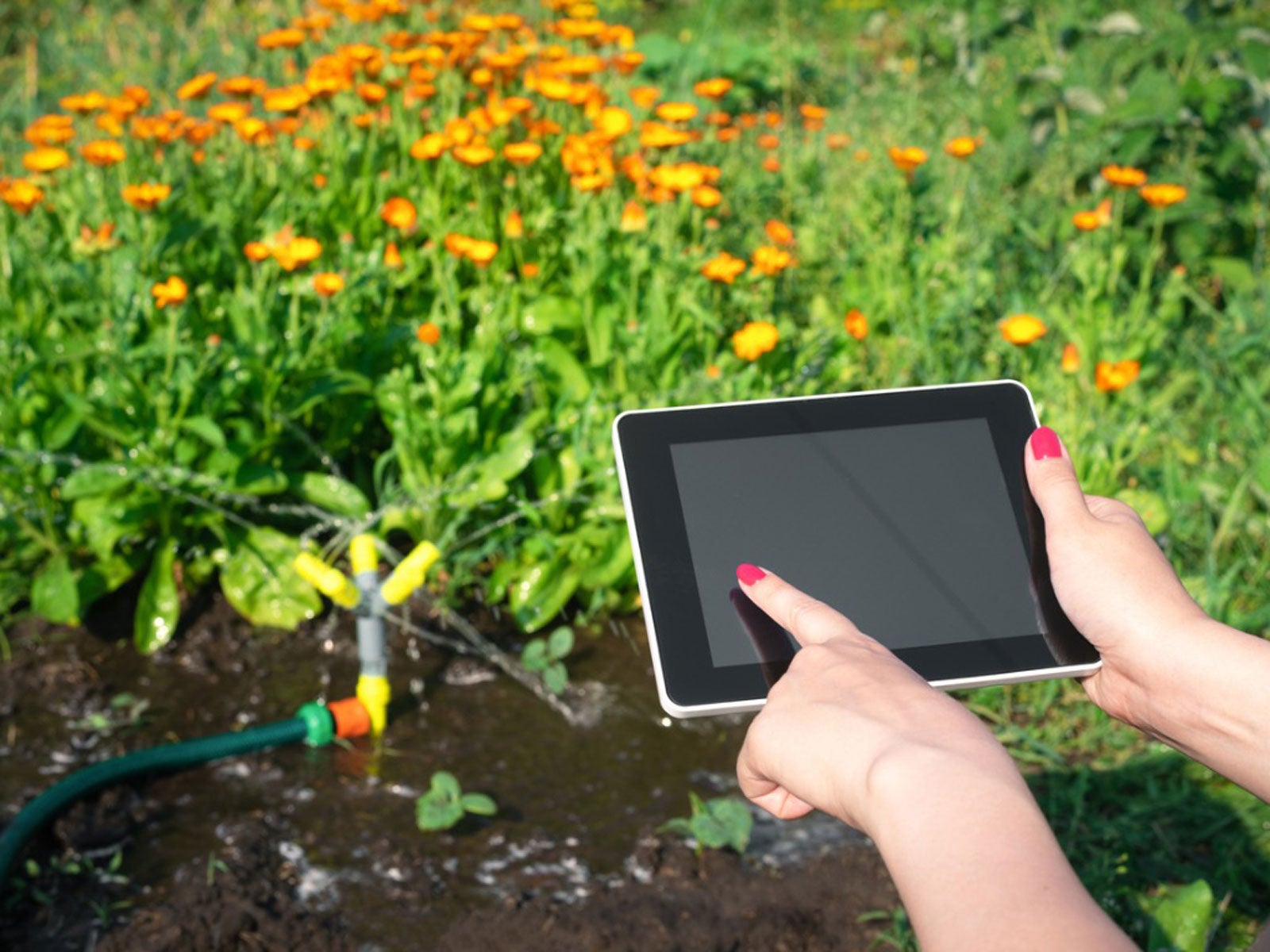 Labor saving device: Smart Garden Irrigation System