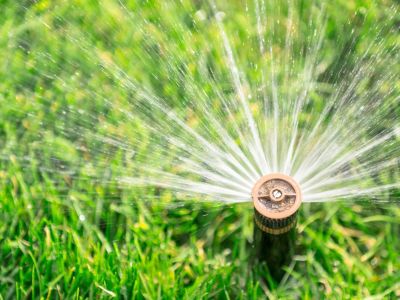 Sprinkler Watering Green Grass