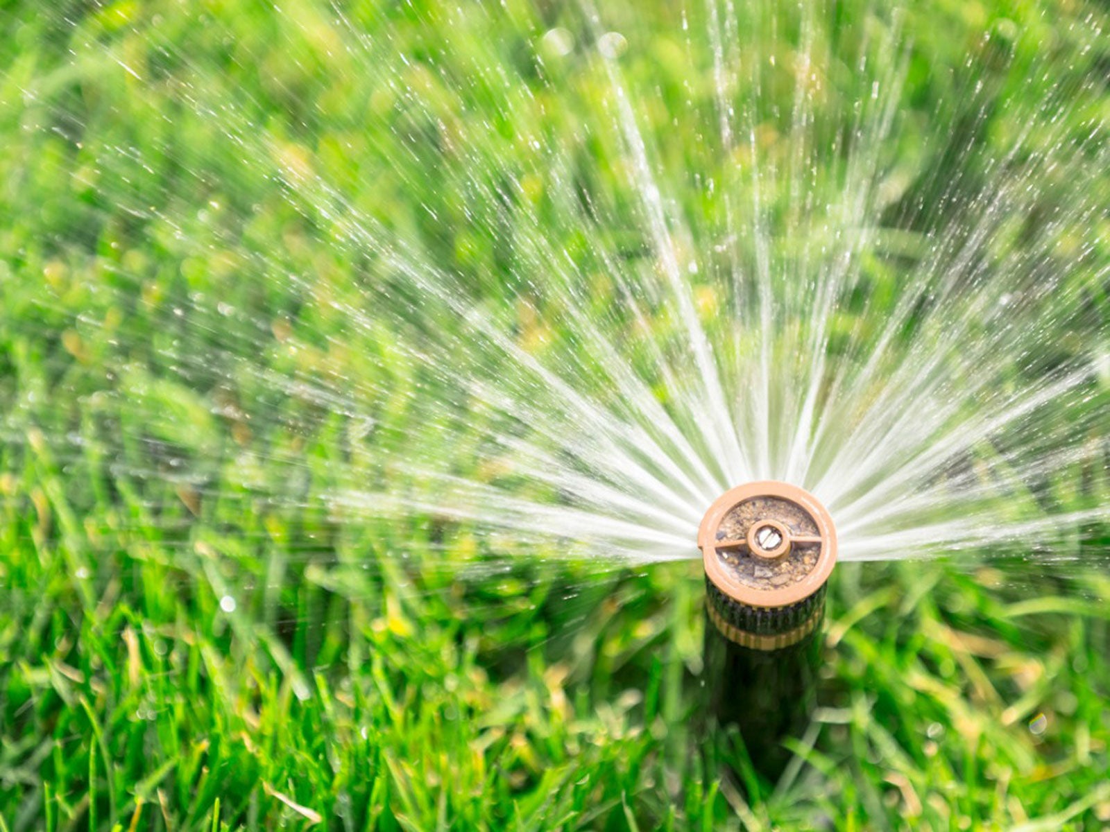 what-is-a-smart-sprinkler-system-using-smart-water-sprinkler-for-gardening