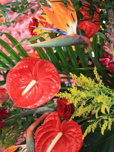 Colorful Tropical Flower Arrangement