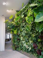 Indoor Vertical Wall Covered In Houseplants