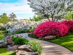 Garden Path Lined With Colorful Flowers And Trees