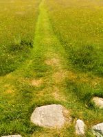 Grass Garden Pathway