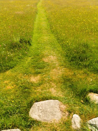 Grass Garden Pathway
