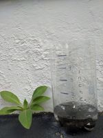 DIY Plastic Bottle Rain Gauge Next To Plant