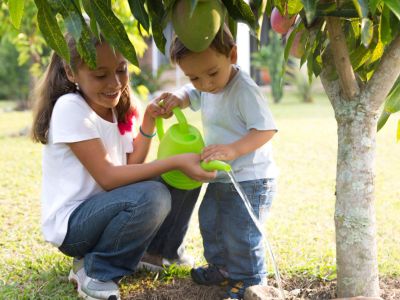 Children Watering Fruit Tree With A Watering Can