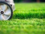 Lawn Mower On Fresh Cut Grass