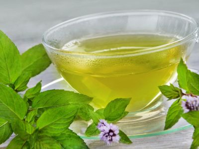 Peppermint Plants Around Cup Of Tea