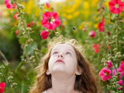 Child In A Field Of Red Flowers