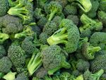 broccoli harvest