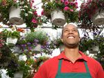 Man Standing In A Plant Nursery Under Hanging Plant Baskets