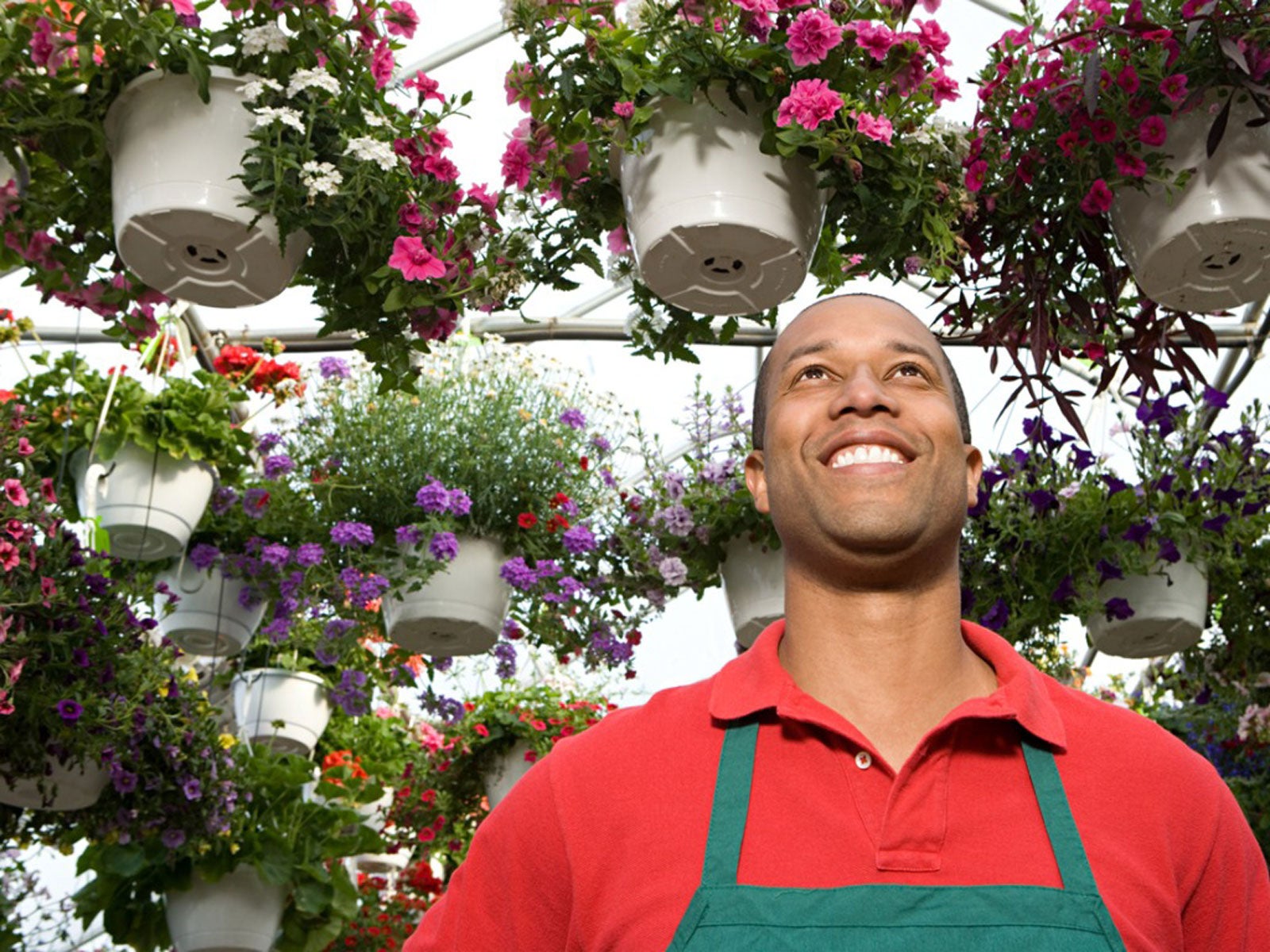 Plant Nursery Business Requirements How To Start A Plant Nursery - How Much Does A Plant Nursery Owner Make