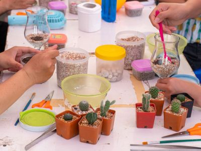 People Potting Tiny Succulent And Cacti Plants